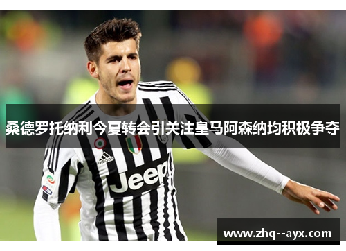 桑德罗托纳利今夏转会引关注皇马阿森纳均积极争夺