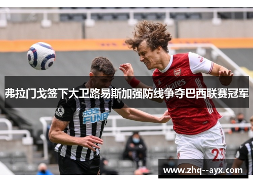 弗拉门戈签下大卫路易斯加强防线争夺巴西联赛冠军 弗拉门戈签下大卫路易斯加强防线争夺巴西联赛冠军